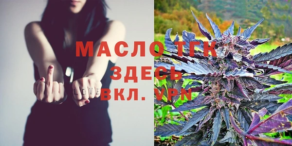гидра Липки